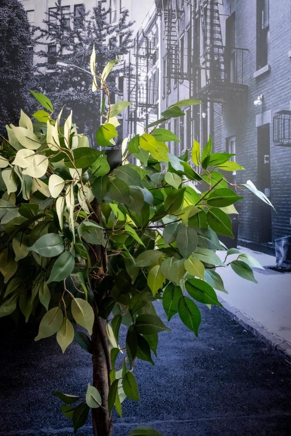 Superbe Appartement Avec Patio Nîmes Exteriér fotografie